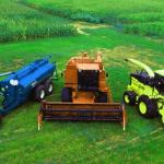 agricultural development