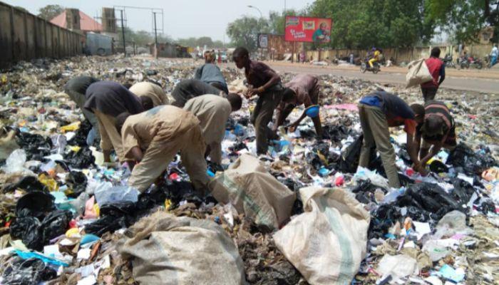 Scavengers looking for food