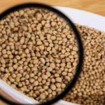 Soybeans