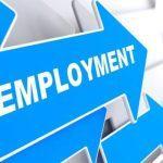 Employment opportunities