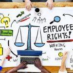 employment guidelines