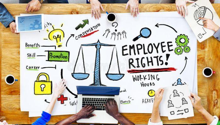 employment guidelines