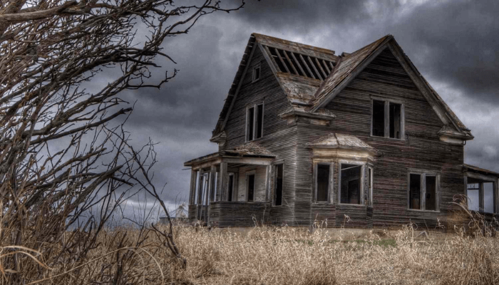 Not alone in castle estate