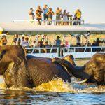 Tourists at Chobe River, Botswana