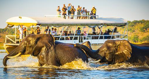 Tourists at Chobe River, Botswana
