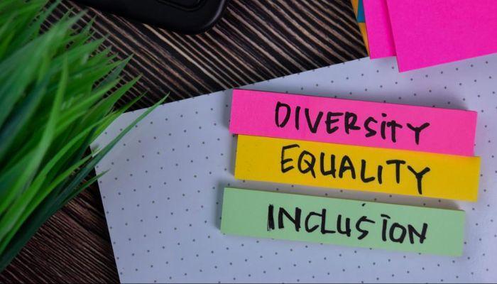 diversity, equity, and inclusion (DEI)
