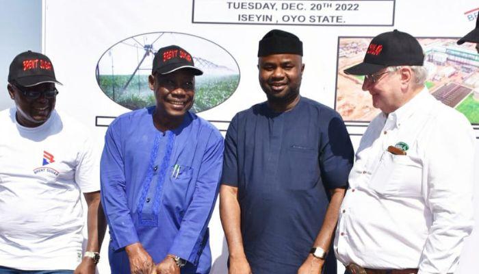 Brent Sugar Plantation and Mill