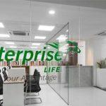 Enterprise Life Assurance Nigeria