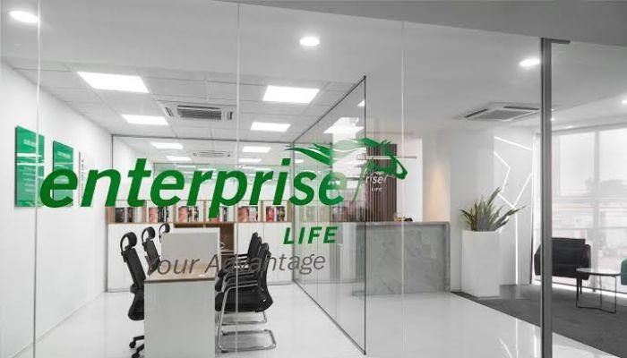 Enterprise Life Assurance Nigeria