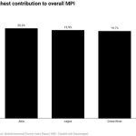 Multidimensional poverty index