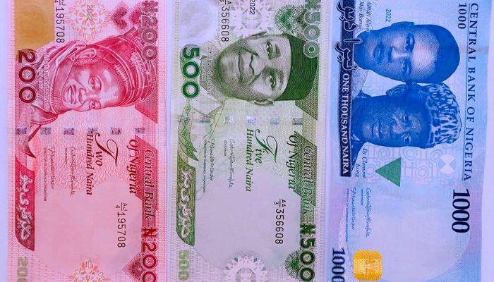 new naira notes