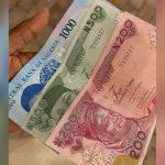 New naira notes