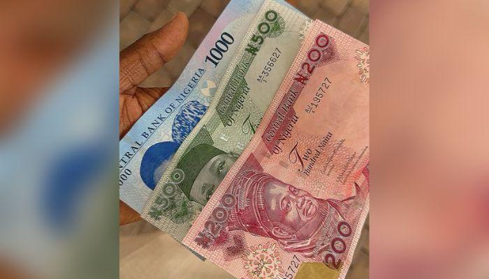 New naira notes