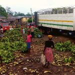 plantain at Idioro market