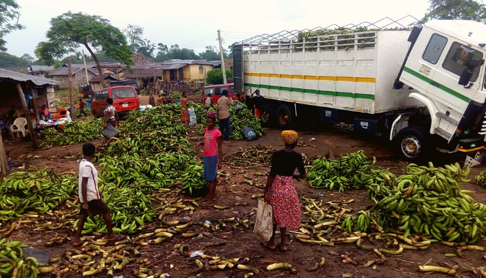 plantain at Idioro market
