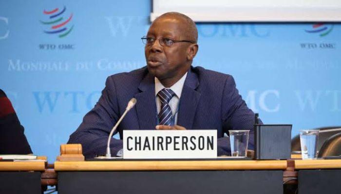 Adamu Abdulhamid, incoming chairperson of the Council for Trade in Goods at the World Trade Organization (WTO)