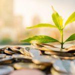 Startups in agriculture sector