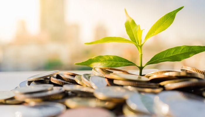 Startups in agriculture sector