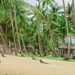 La Campagne tropicana