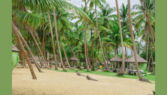 La Campagne tropicana