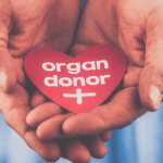 Organ Donor