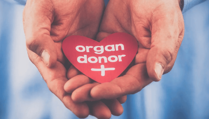 Organ Donor