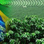 Brazil's Agric sector (USDA)