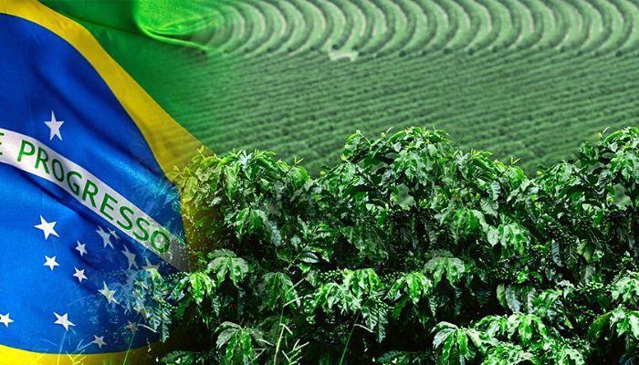 Brazil's Agric sector (USDA)