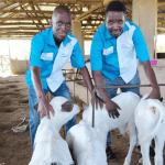 FrieslandCampina WAMCO