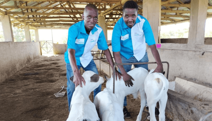 FrieslandCampina WAMCO