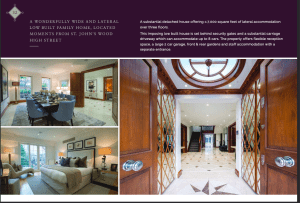 Seyi Tinubu $11m London property