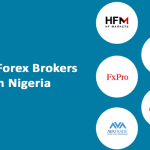 Best Forex Brokers