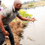 Aleto Eleme Oil Spill