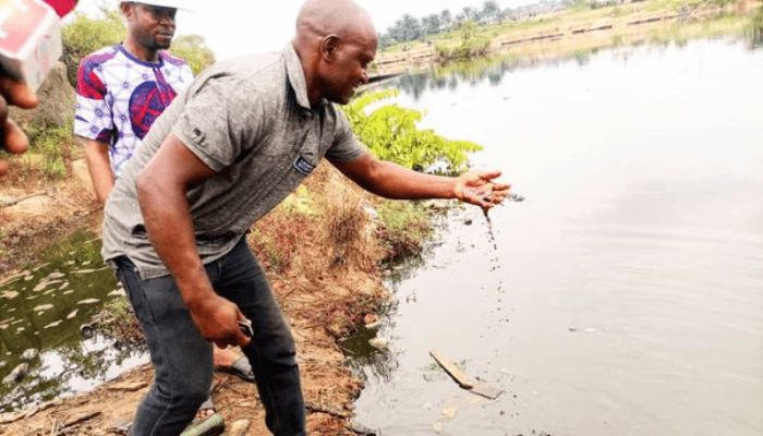 Aleto Eleme Oil Spill