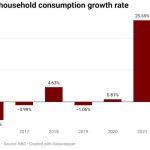 Nigeria's household consumption growth rate (1)