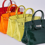 Birkin Bag