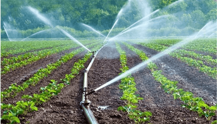 irrigation