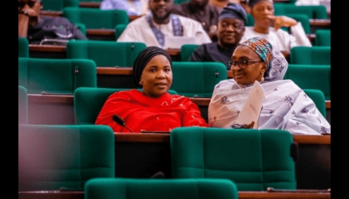 Female lawmakers in Nigeria