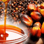 Palm Oil in Nigeria
