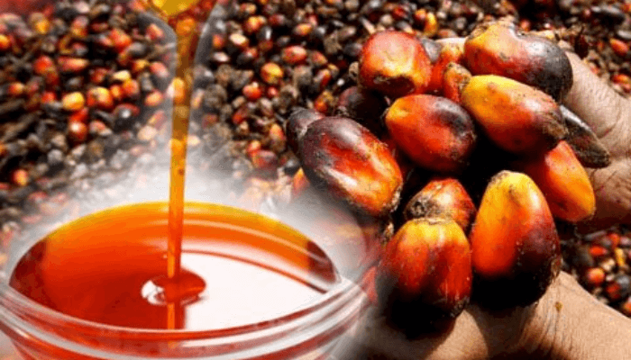Palm Oil in Nigeria