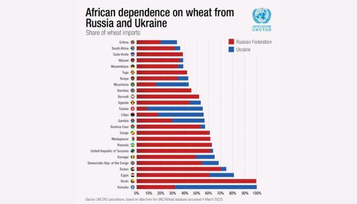 What does Africa produce?
