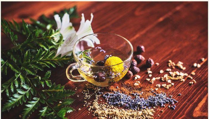 trado-medical practitioners