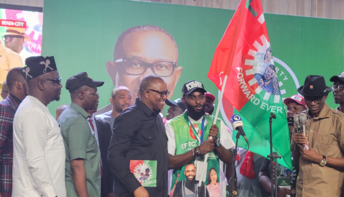 Edo local government election