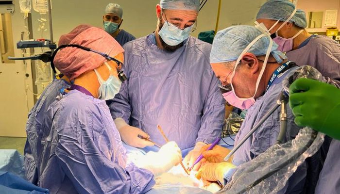 UK womb transplant (Source SkyNews)