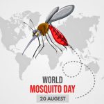 World mosquito day