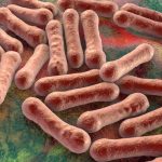 Diphtheria outbreak at Kings College