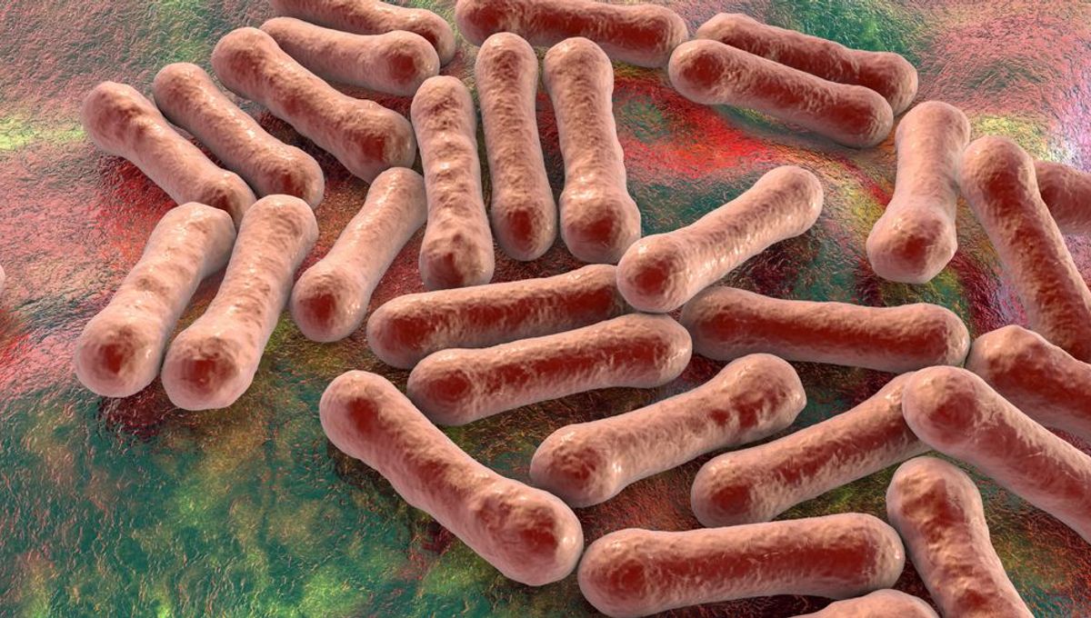 Diphtheria outbreak at Kings College