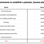 Financial requirements to establish a banana plantation
