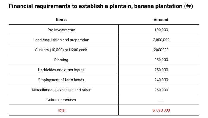 Financial requirements to establish a banana plantation