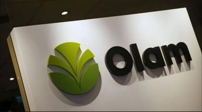 olam